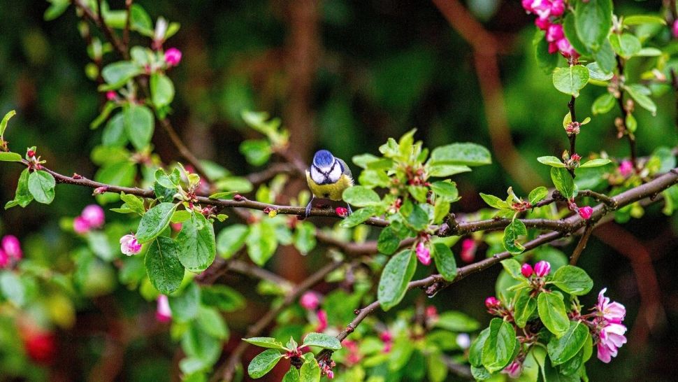 Vremea 26 mai. Temperaturi de vară în majoraitatea regiunilor țării. Care sunt previziunile ANM pentru ziua de astăzi