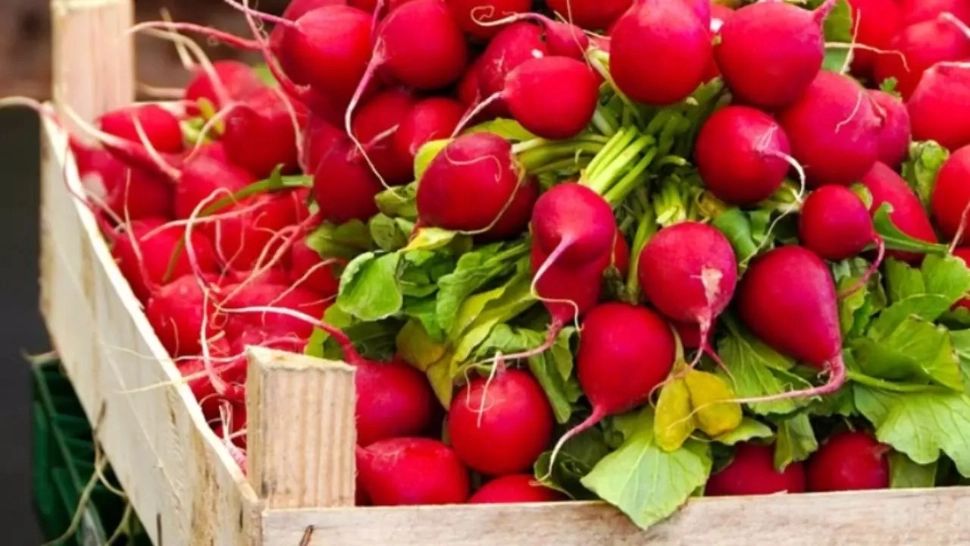 Pericolul foarte puțin cunoscut pentru cei care mănâncă ridichi roșii. Semnal de alarmă tras de medici