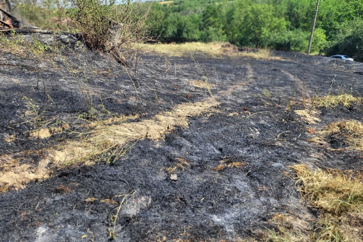 Incendiu uriaș, la Vaslui! Au ars 12 hectare de grâu şi 20 de hectare de vegetaţie uscată şi literă