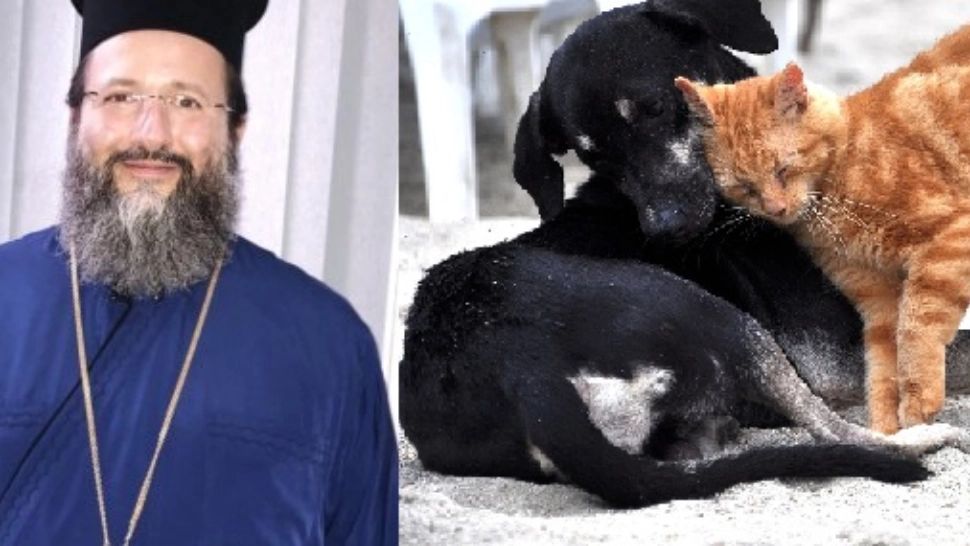 Preotul Matei Vulcănescu, despre proprietarii de animale de companie: „Închinătorii la pisici și câini nu vor moșteni Împărăția Cerurilor!" 
