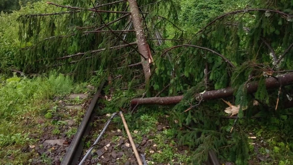Trenuri oprite în câmp, din cauza copacilor rupți de furtună pe șine. Trafic oprit temporar pe intervalul Toplița-Lunca Bradului - FOTO