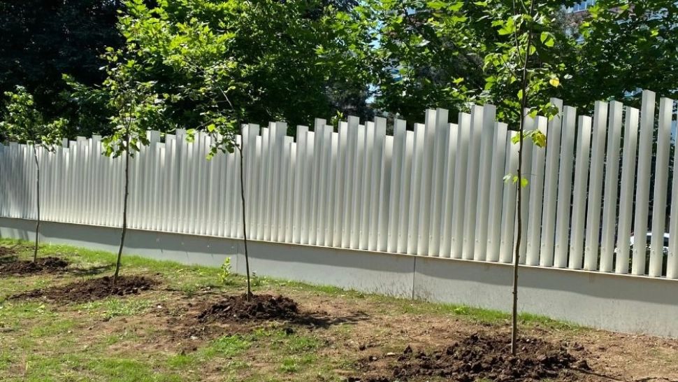 S-au plantat 80 de tei în Orășelul Copiilor - FOTO