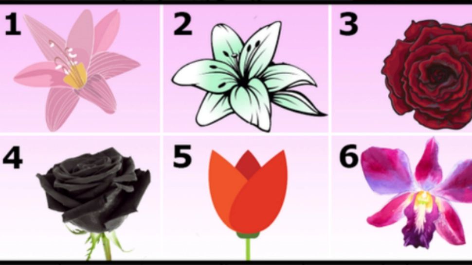 Testul care îți arată ce îți place să faci cel mai mult. Tu cât de bine te cunoști? Testul nu minte