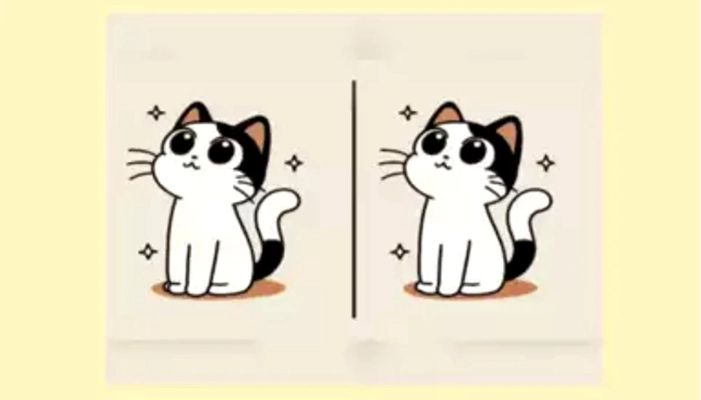 Iluzie optică uimitoare care îți pune mintea la contribuție. Câte secunde ți-a luat să o rezolvi?