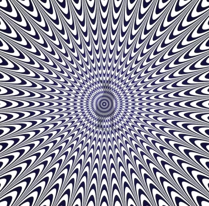 Iluzia optică pe care puțini o pot desluși: crează impresia unei autentici halucinații. Ce animal ascunde, de fapt