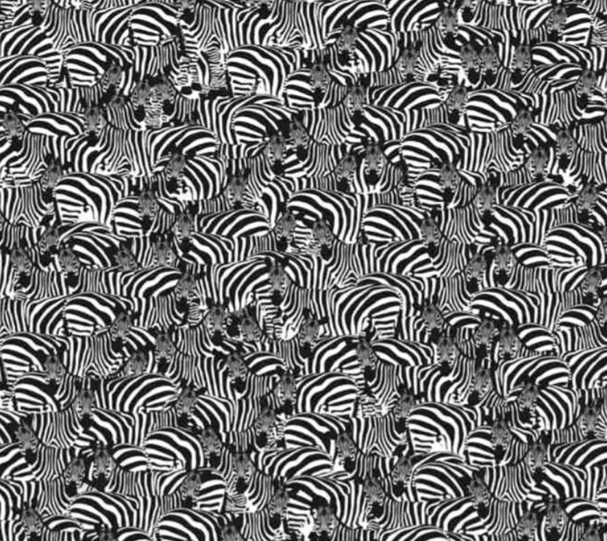 Testul de atenție care îți dă peste cap toate calculele. Unde se află pianul ascuns în imagine: îl poți găsi în doar 8 secunde?