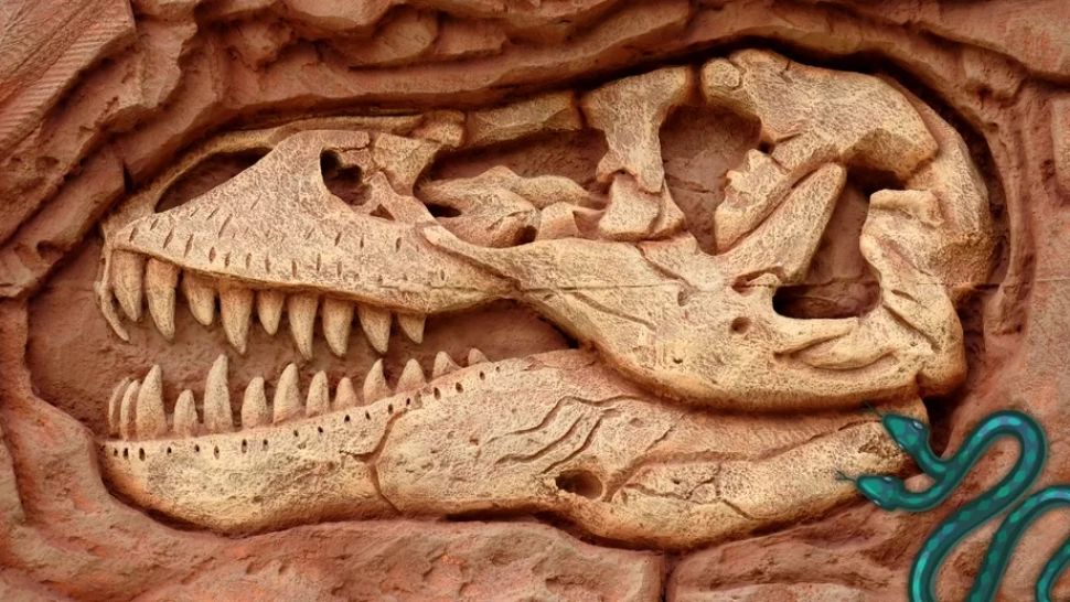 Animalul care a băgat spaima în oameni. Are 2 capete și trăiește în jur de 20 de ani