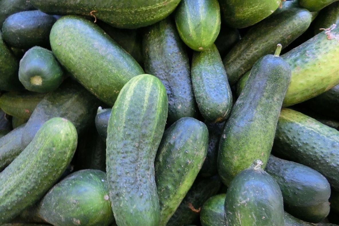 Ce TREBUIE să faci cu castraveții pentru a se păstra proaspeți și crocați. Sfaturi pentru ca aceste legume să nu se înmoaie și să reziste mult timp