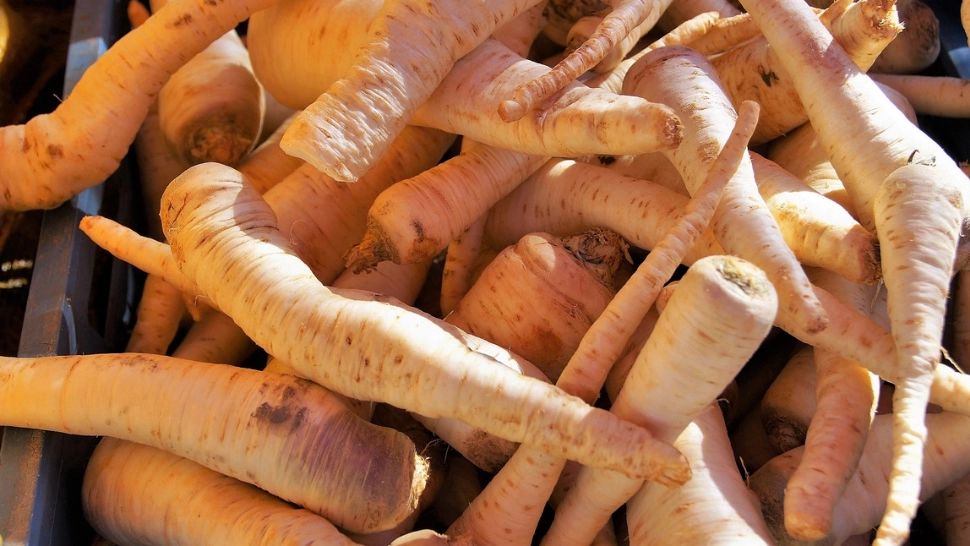  Cel mai bun aliment pentru diabetici. Este o legumă banală care scade rapid glicemia