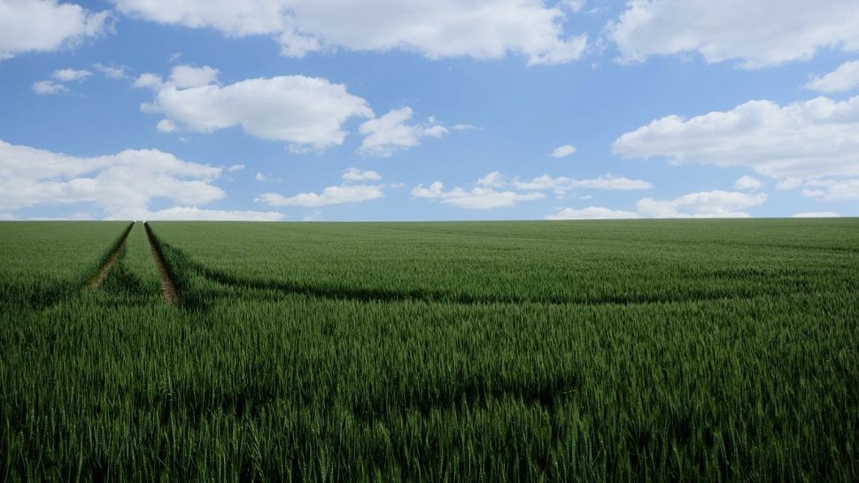 Incident șocant: Un bărbat de 36 de ani a fost reținut după ce a violat o femeie pe câmp