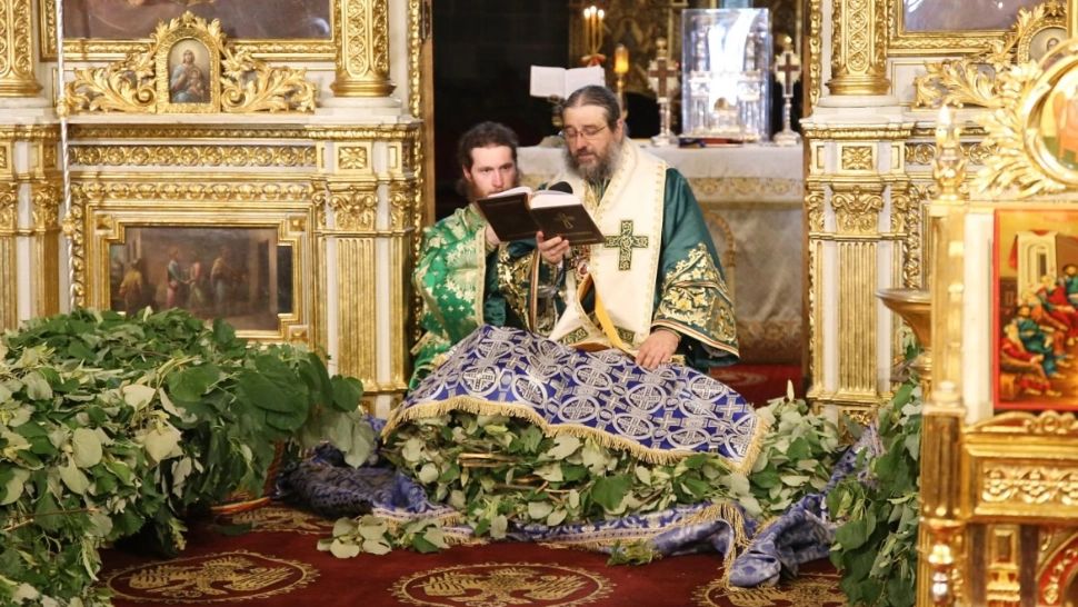 De ce trebuie să aduni astăzi frunze de nuc și de tei. Cum să le folosești pentru a ține bolile la distanță