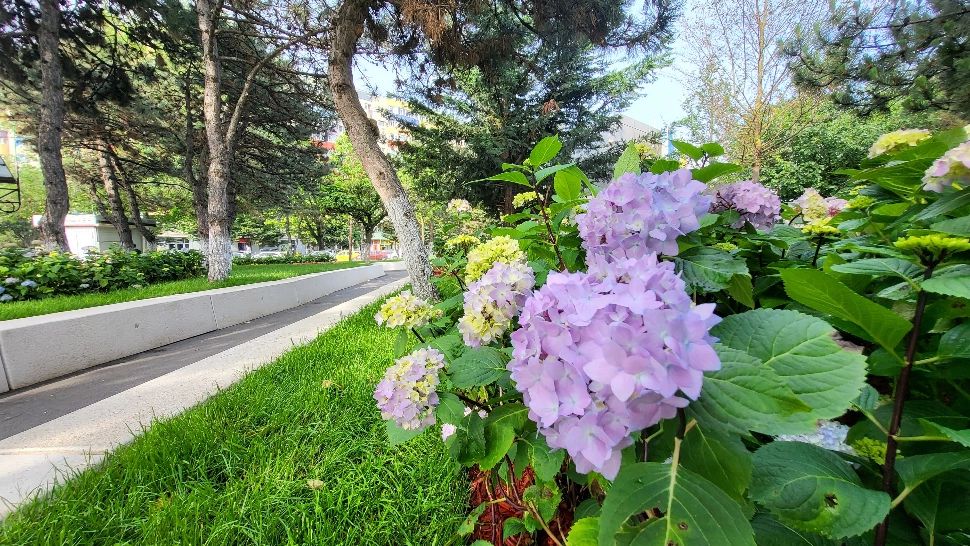 Șoseaua Olteniței, ultima amenajare peisagistică realizată în Sectorul 4 - FOTO