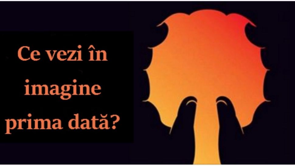 Ce tip de personalitate ai. Află dacă ai o minte ascuțită sau ai o gândire lentă?