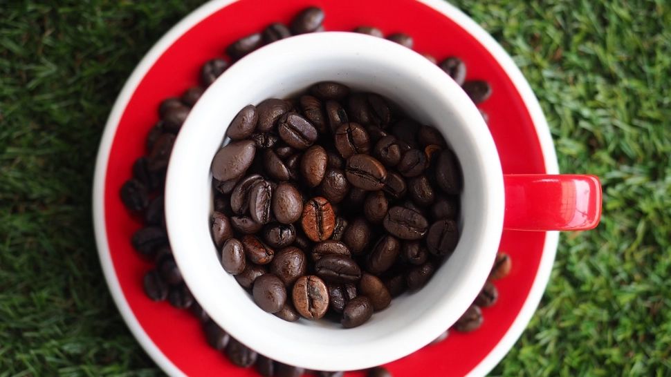 Nu mai arunca zațul de cafea. Iată ce poți face cu el. Sigur nu știai asta