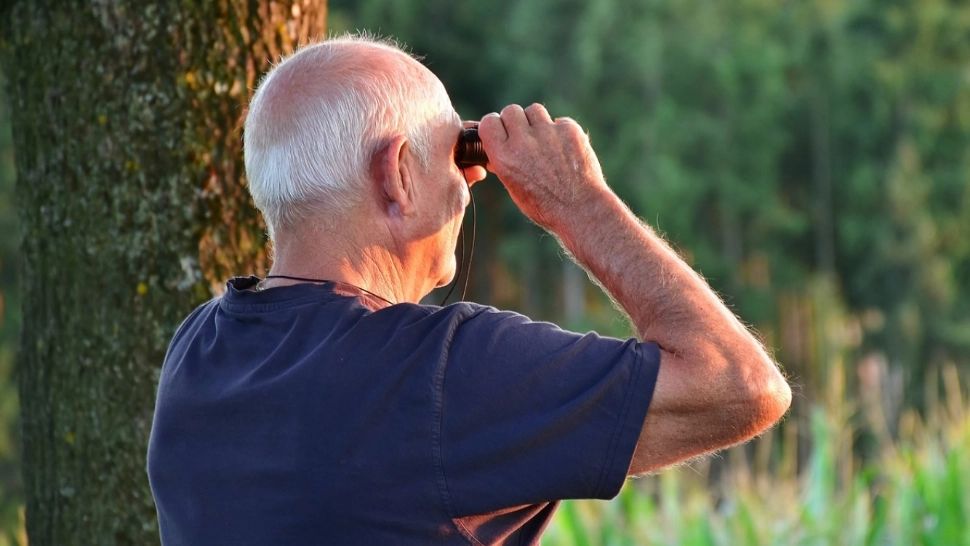 Câți bani încasează, lunar, eroii Revoluției și veteranii de război. Casa de Pensii a publicat datele