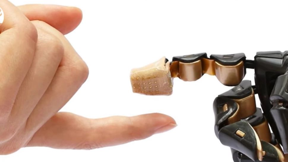 Pielea electronică, noua descoperire a cercetătorilor chinezi