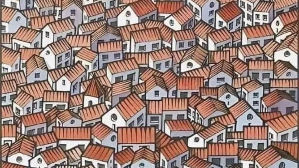 Testul ochilor de șoim: Poți să găsești pisica ascunsă printre casele aglomerate în numai 10 secunde?