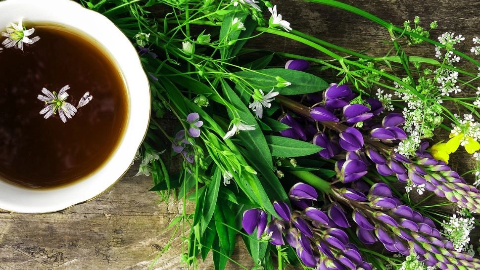 Planta care te scapă de varice. Rețeta pe care o recomandă fitoterapeuții, accesibilă oricui