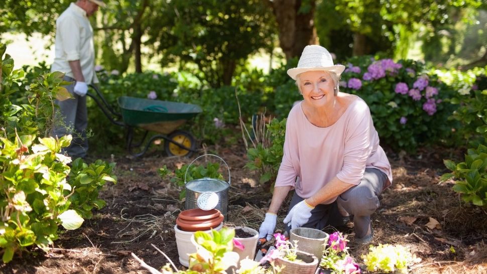 Cum ne putem proteja florile de caniculă? Sfaturile utile de la grădinarii cu experiență