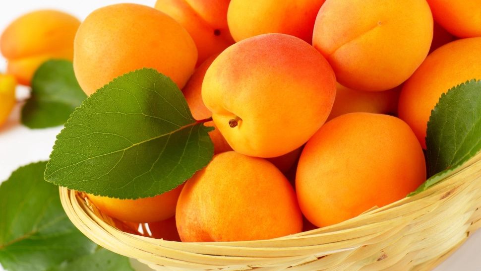 Bronz rapid și uniform direct din natură, cu un fruct de sezon. Se găsește în toate magazinele: încearcă-l și tu și bucură-te de rezultate!