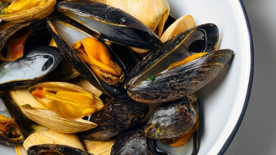 ALERTĂ pe litoral: culesul de scoici și rapane, complet INTERZIS! Descoperire șocantă în apa Mării Negre