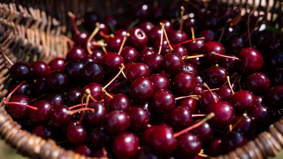 Dulceață de vișine demențială! Ce să pui ca să obții gustul bogat și intens: doar marile gospodine știu trucul