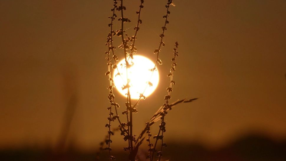 20 iunie, Solstițiu de vară: ce să NU faci în cea mai lungă zi din an. Doar așa te ferești de ghinion!