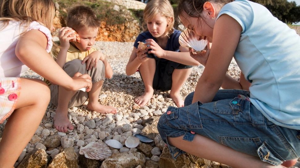 De ce NU trebuie să mai aduni niciodată SCOICILE de pe plajă. Experții explică de ce este greșit să le transformăm în suvenir
