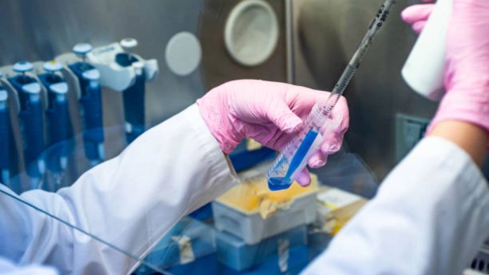 Clinicile de celule stem lovesc în buzunarele celebrităților. Cum a ajuns Sânziana Buruiană bună de plată, după ce nu a putut să rezilieze contractul