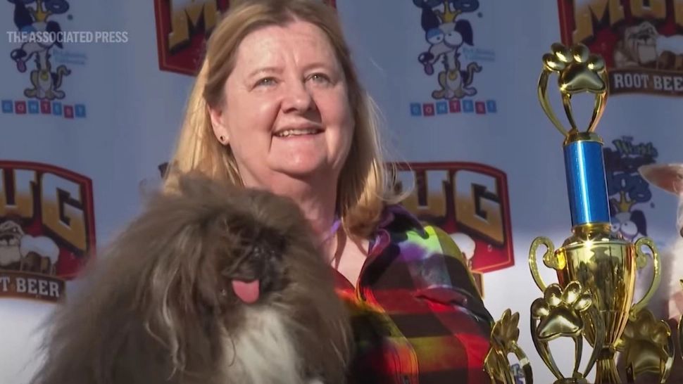 Nu este chiar o pacoste, cel mai urât câine din lume! Cel puțin nu pentru stăpân! A câștigat 5.000 de dolari