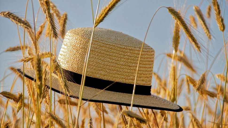 Vremea 21 iunie: Temperaturi extrem de ridicate și astăzi. Unde va fi cel mai cald, potrivit ANM