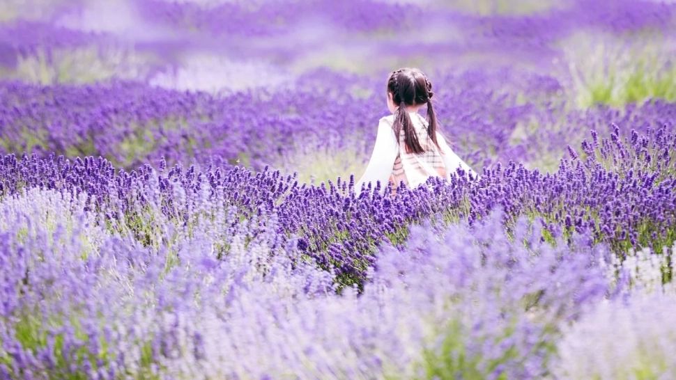 Prognoza meteo 22 iunie. Cod roșu de caniculă, temperaturi de nesuportat. Cum va fi vremea pe litoral 