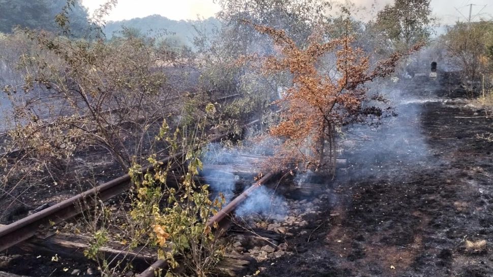Circulația trenurilor CFR de călători s-a reluat parțial, după ce a fost blocată din cauza unor incendii de vegetație, între București și Craiova