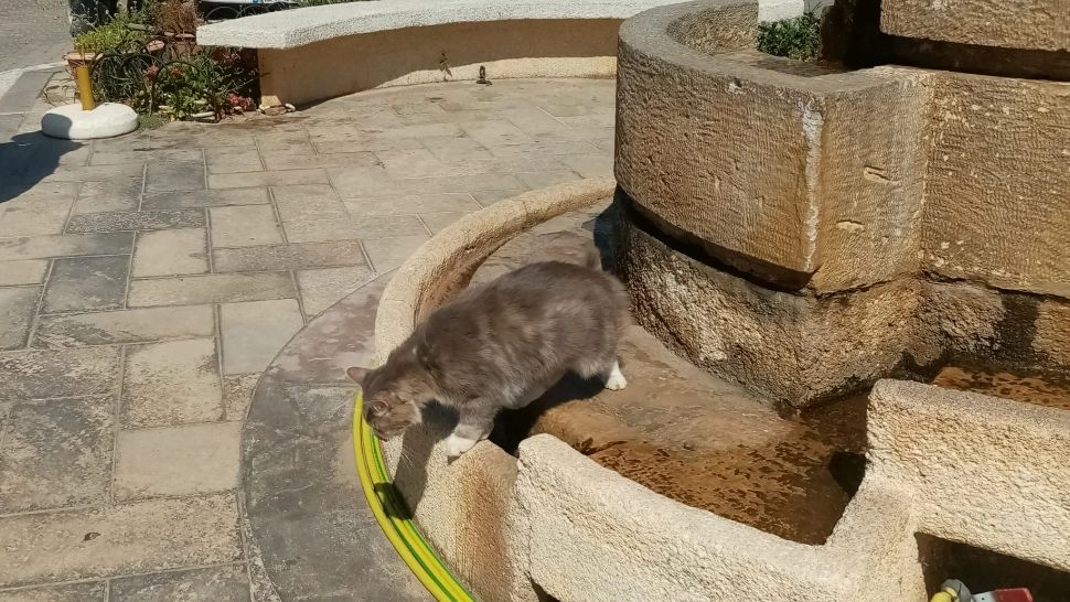 COD PORTOCALIU extins în România. Trei sferturi din țară, sub un val de arșiță fără precedent - HARTA