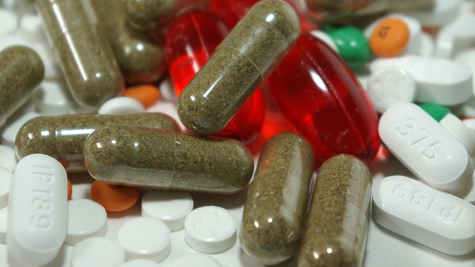 Medicamentul revoluționar care crește speranța de viață: Șoarecii „bunici supermodel” au fost protagoniștii unui experiment de succes