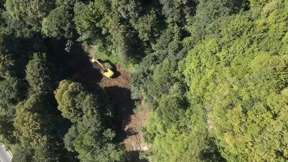 Imagini SPECTACULOASE cu defrișările de pe Valea Oltului. A debut șantierul care pune la grea încercare nervii șoferilor -VIDEO 