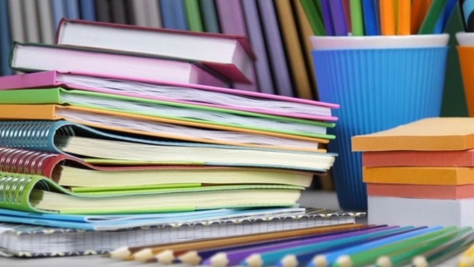 Propunere de la ministrul Educației: Sâmbăta - zi de recuperare a orelor pierdute