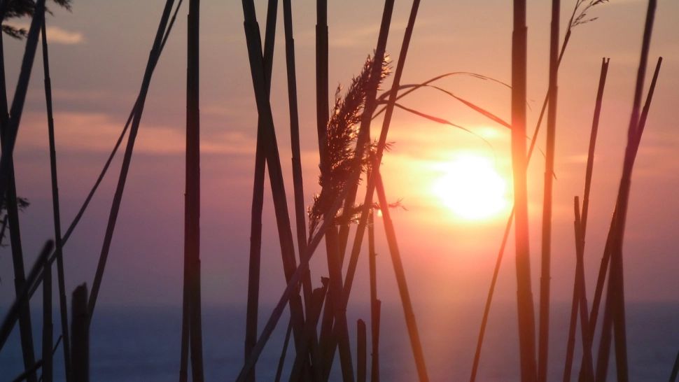 România se topește: Prognoza ANM pentru august. Șefa ANM a anunțat ce va urma