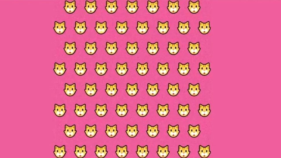 Test doar pentru genii! În câte secunde poți găsi pisica diferită