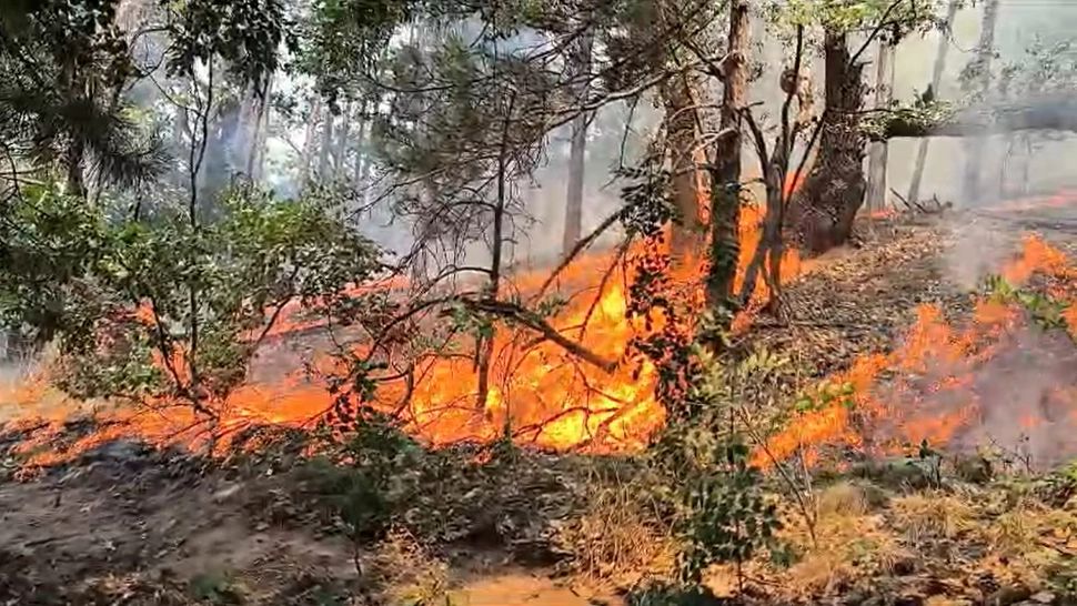 Alertă portocalie de incendiu în Parcul Natural Porțile de Fier: Sute de hectare de vegetație uscată ard de 6 zile! Mai multe case sunt amenințate - FOTO/VIDEO