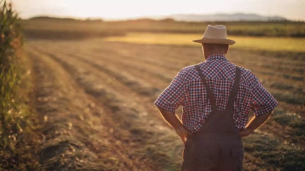 Fermierii sunt disperați de lipsa apei pentru irigații. Apelul către autorități