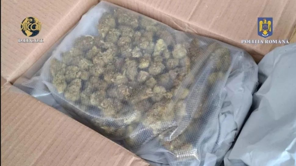 Captură în flagrant: Un bărbat a fost reținut după ce a ridicat un colet suspect din Cehia