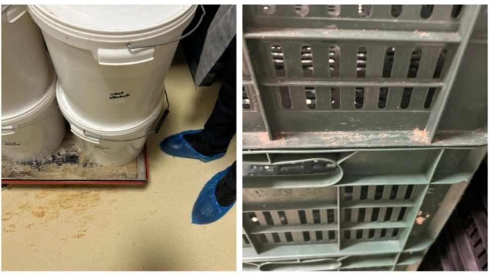 Nereguli șocante descoperite la furnizorul de alimente al Spitalului Fundeni. Ce au transmis inspectorii ANPC