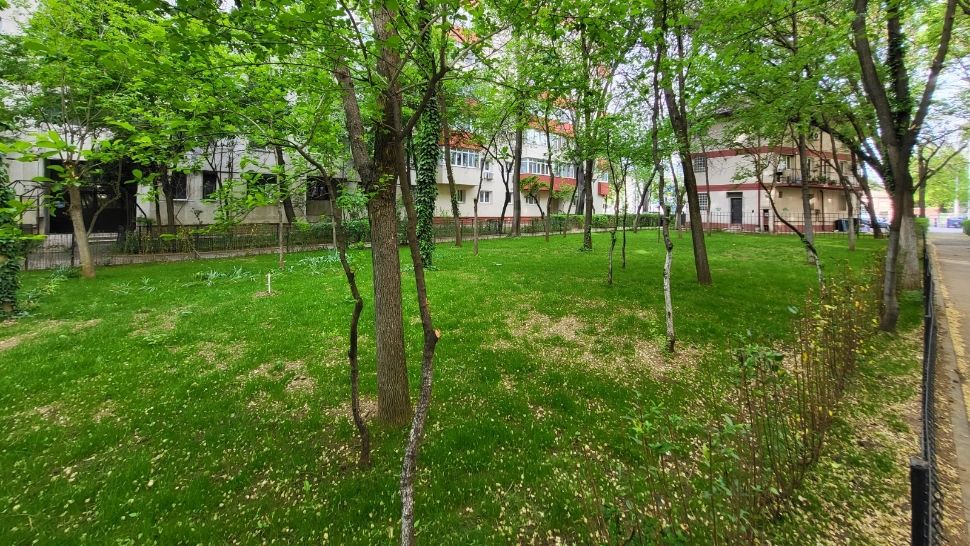 Transformare incredibilă a unor grădini de blocuri de pe șoseaua Olteniței