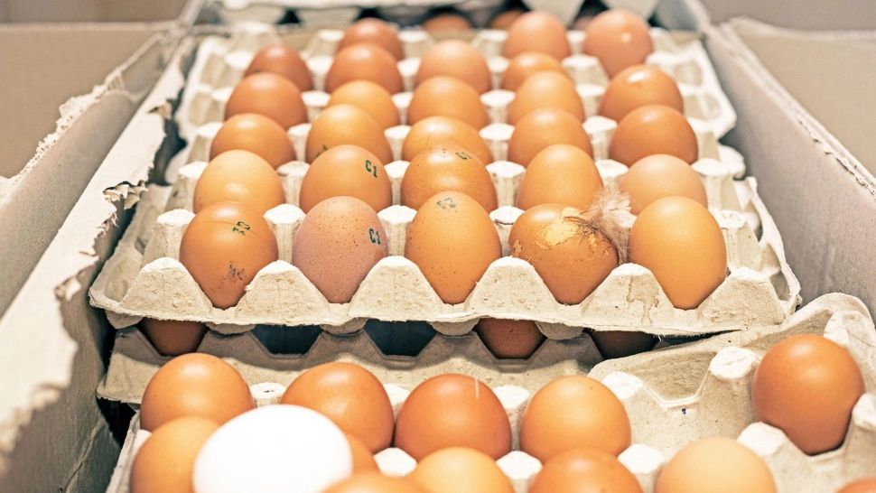 Ouăle și carnea de pui din Ucraina sunt în continuare pe rafuri, în ciuda restricțiilor anunțate de guvern