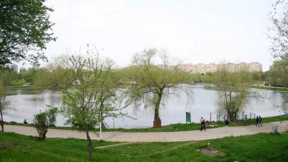 Cercetătorii, uimiți: Un animal originar din Africa, cu talentul de a imita limbajul uman, a fost descoperit în parcurile Capitalei 