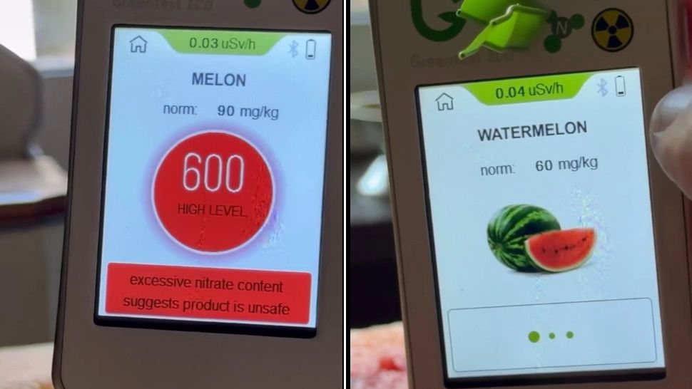 Alertă maximă și controale de amploare în piețele din București și din țară. Suspiciuni legate de concentrațiile depășite de PESTICIDE în pepeni - VIDEO