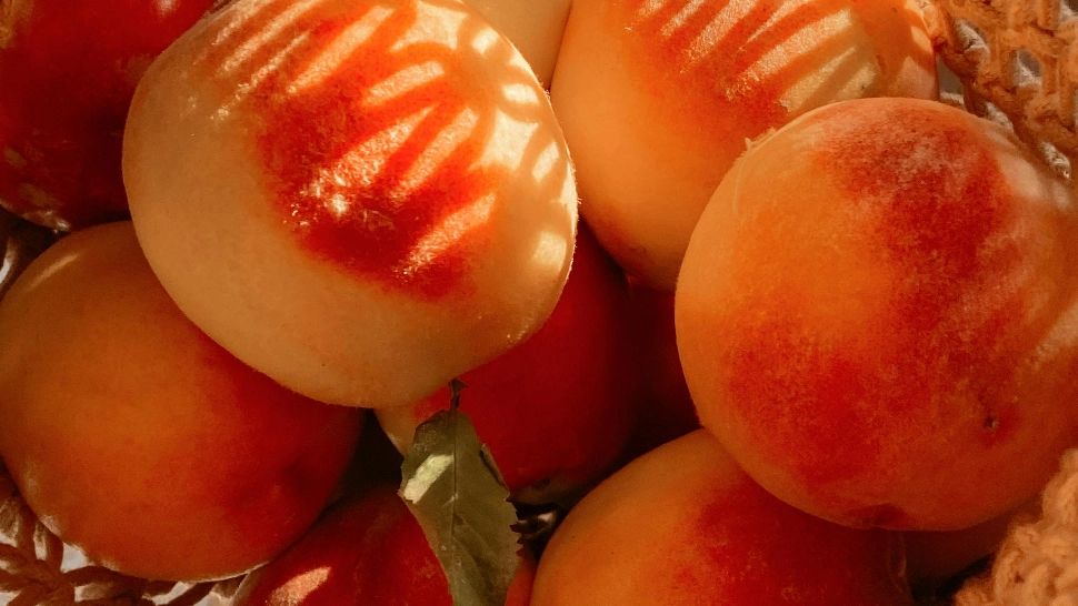 Secretele de altădată pentru piersici zemoși: cu ce stropeau bătrânii livezile