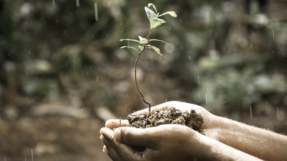 Unde şi când se va produce ploaie artificială în România: „Avem deja 20 de generatoare terestre”