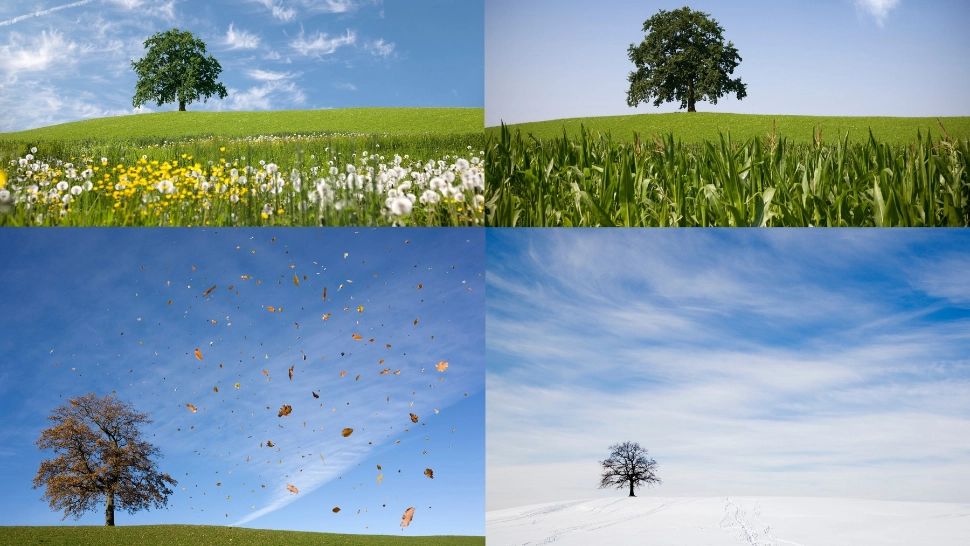 Țara unde există un al 5-lea anotimp. Este la o aruncătură de băț de România